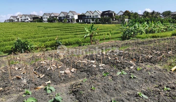Bagus Tanah 6 Are View Sawah Dekat Pantai Mengening Cemagi Bali