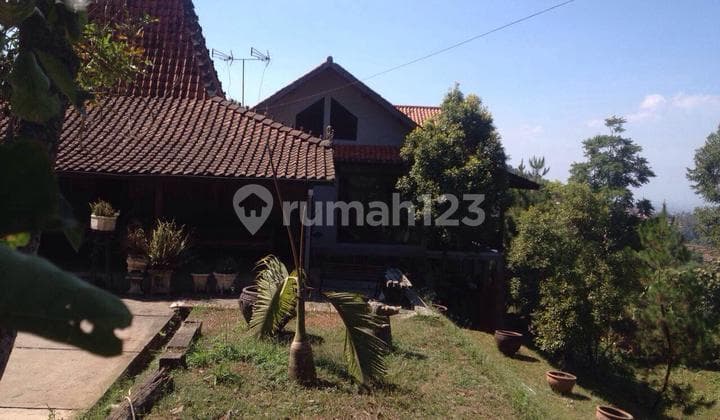 Rmh Villa bisa di Buat Cafe atau Usaha di Jl. Padasuka