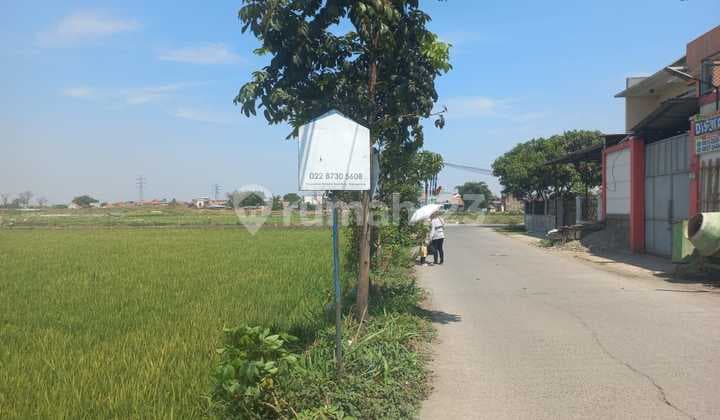 Tnh Luas Cocok Utk Perumahan, Kantor, di Ciganitri Bandung