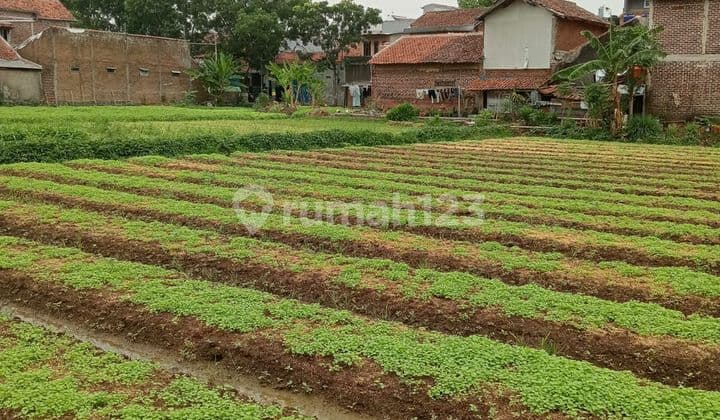 Tanah Luas Cocok Utk Perumahan, Sekolahan di Ujungberung Bandung Timur