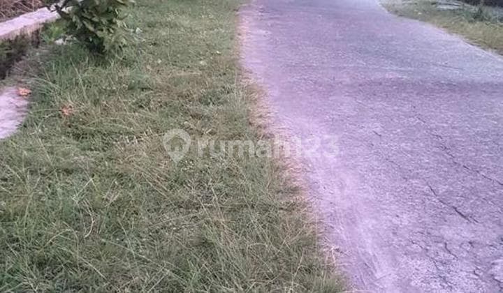 Dijual Tanah Sawah Jalan.sidomulyo Komersil.pinggir Jalan Jogjakarta