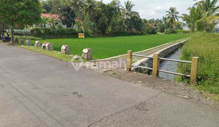 Dijual Cepat Tanah Sawah Di.nego Ampe Deal.segera
