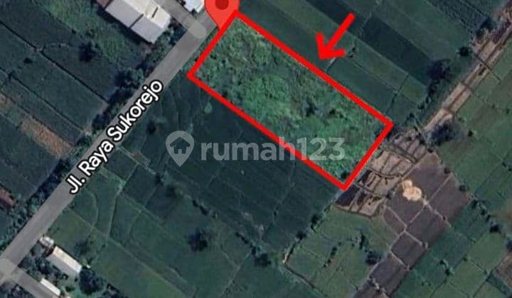 Dijual Tanah Nol Jalan Raya di Raya Sukorejo Pandaan Pasuruan