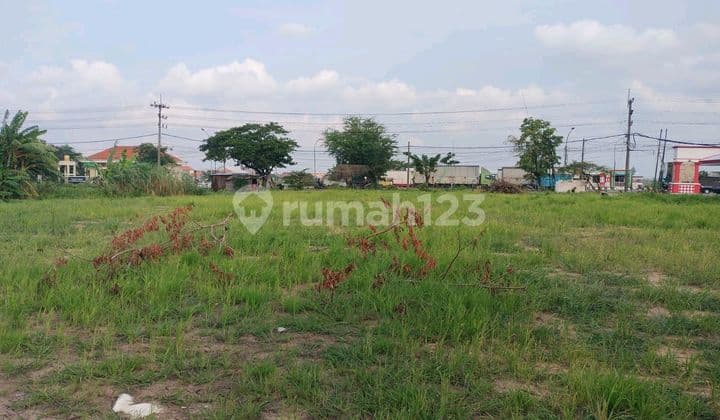 For Sale: Prime Land in Banjarsari, Zero Road, Provincial Highway Cerme Gresik