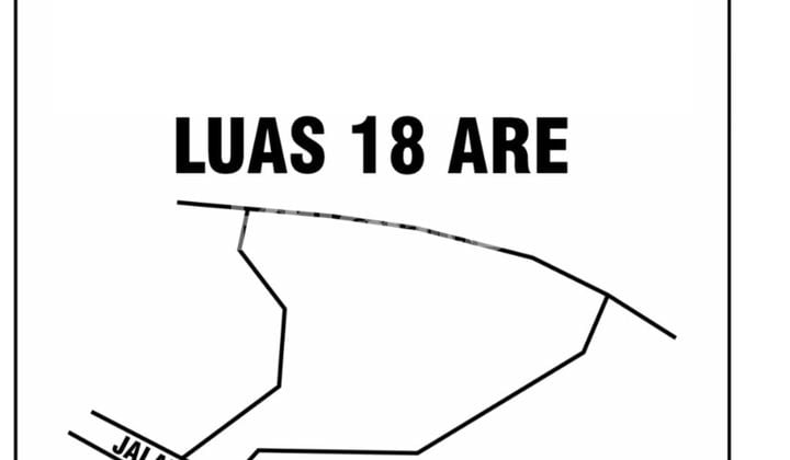 LAND IN BULELENG, BALI VILLAGE SUITABLE FOR HOTELS, VILLAS, AND COTTAGES LAND IN BULELENG, BALI VILLAGE SUITABLE FOR HOTELS, VILLAS, AND COTTAGES