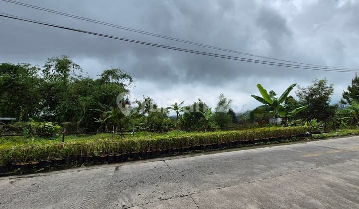 Tanah Jl. Raya Taman Cibodas Puncak