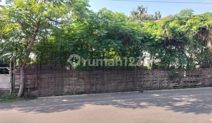 Dijual Tanah Komersial Jalan Raya Nasional Mojoagung Jombang Di Jl. Raya Gambiran No. 146, Gambiran, Mojoagung, Jombang, Jawa Timur, Indonesia, 61482, Mojoagung