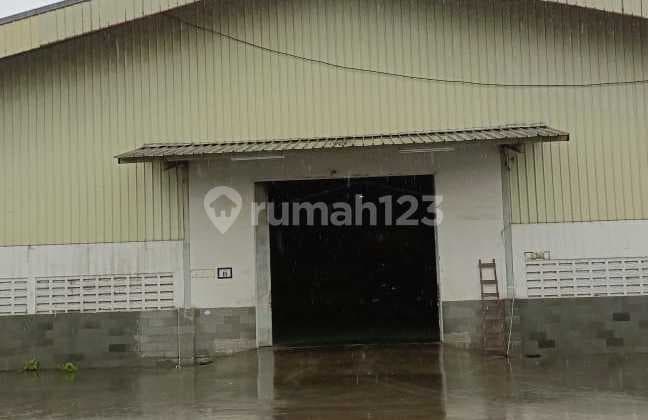 Gudang Sewa Gunung Sindur Dekat Bsd Akses Container