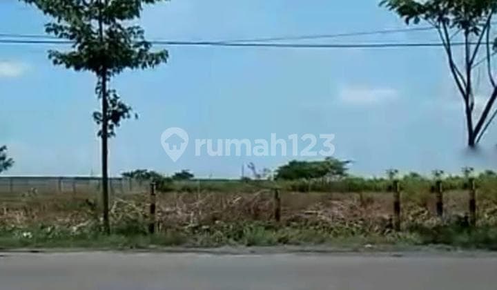 TANAH INDUSTRI TUBAN, Kecamatan Widang masuk zona III Industri Tuban