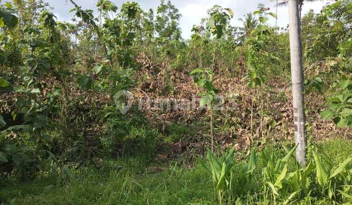 Dijual Tanah Banjar Jawa Barat