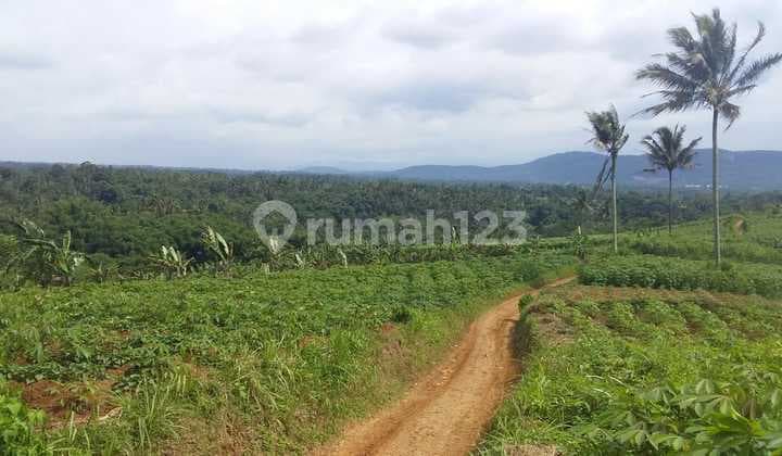 Dijual Tanah Murah Akses Jalan Bagus di Sukabumi