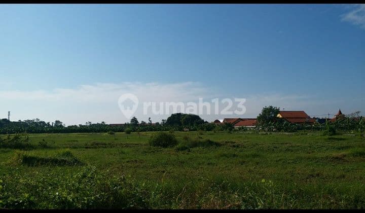 Tanah Industri Murah Di Nol Jalan Raya Arteri Baru Porong Sidoarjo. Sangat Dekat Dgn Tol Surabaya Malang Tol Arteri