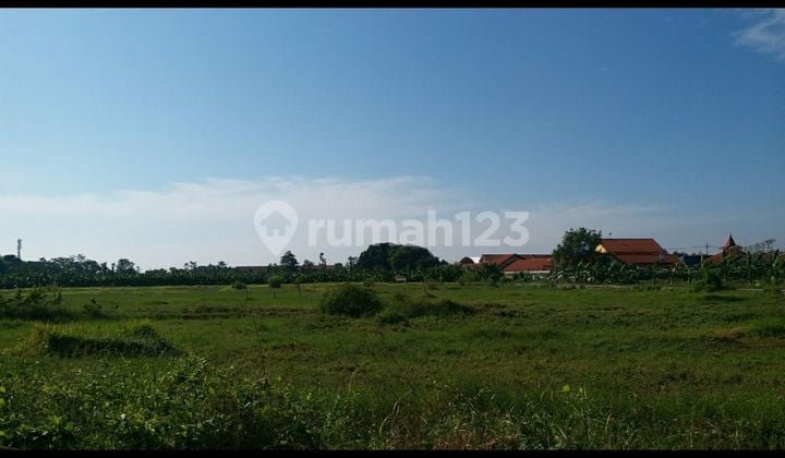 Tanah Industri Murah Di Nol Jalan Raya Arteri Baru Porong Sidoarjo. Sangat Dekat Dgn Tol Surabaya Malang Tol Arteri