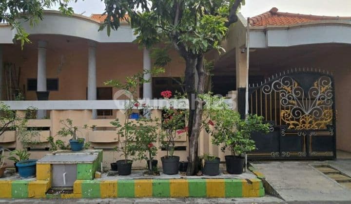 Rumah Super Murah Di Rungkut Merr Surabaya. Siap Huni