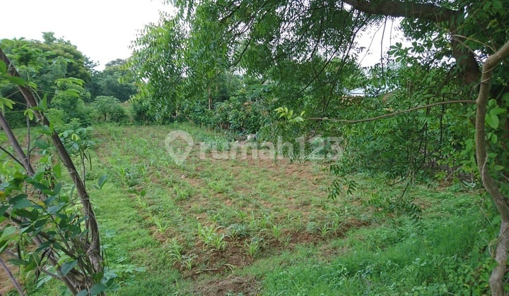 Tanah Dekat Bandara Baru Setrategis Masih Hijau