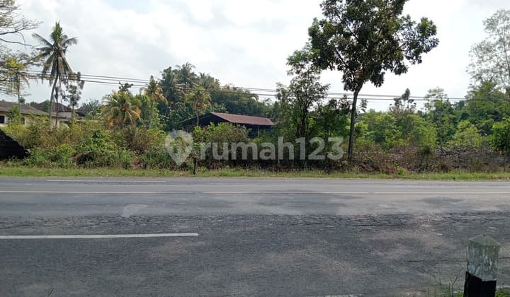 Tanah Pekarangan Jalan Nasional