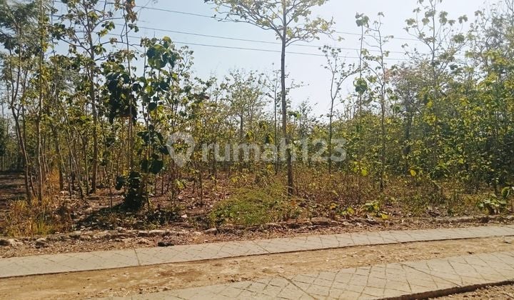 Tanah Dekat Kampus UNY