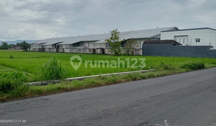 Industrial Zone Land in East Jogja