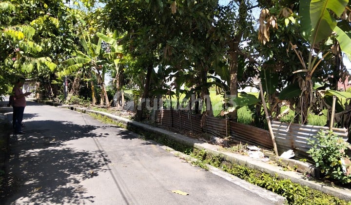 Rice Field Land Strategic Location Suitable for Residence in Sleman Yogyakarta