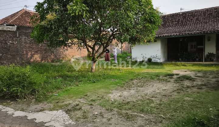 Tanah Murah Strategis Dekat Pasar Weleri Kendal