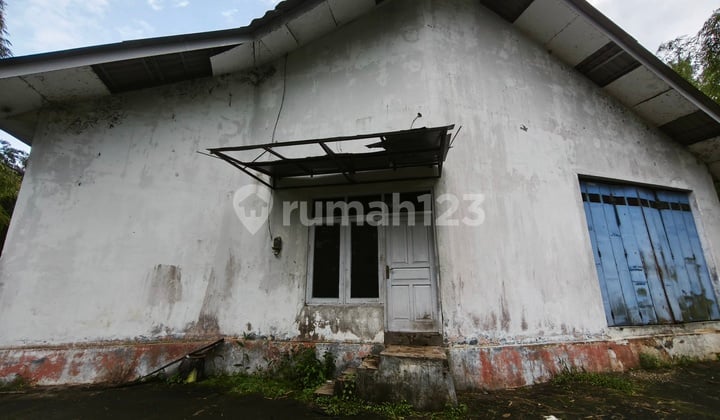 Rumah Potong Unggas Dekat Sungai dan Jalan Raya di Boja Kendal