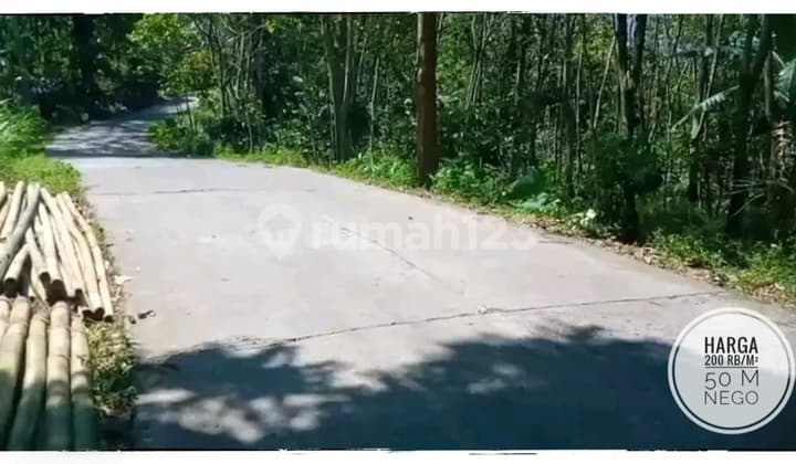 Lahan Hortikultura Akses Mudah di Limbangan Boja