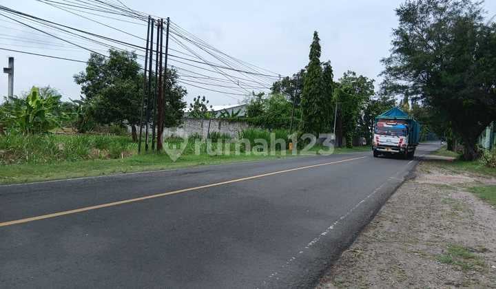 Tanah Pinggir Jalan Raya Buat Pabrik Brondong Lamongan