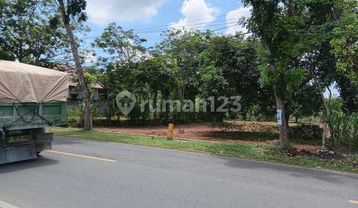 Tanah Pinggir Jalan Raya Pantura Brondong Lamongan