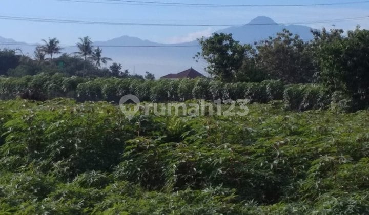 Jual Tanah Pinggir Jalan Aspal, SHM di Tanah Sereal Bogor