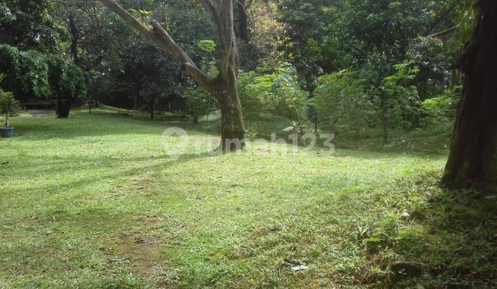 Jual Tanah Jagakarsa Jakarta Selatan Pinggir Jalan SHM