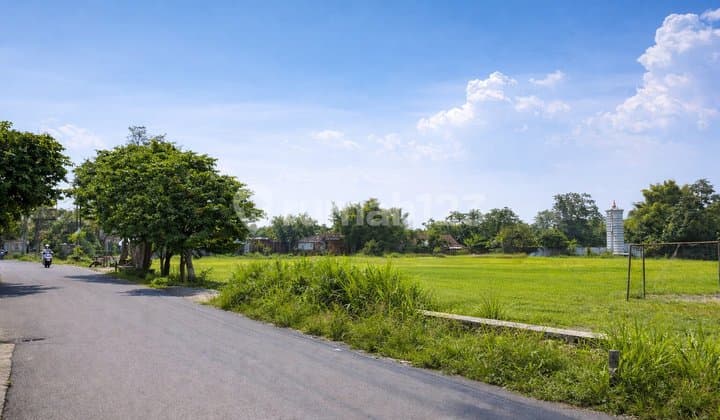 Jual Tanah Bogor Kota, Dibawah NJOP, Dekat Ipb Dramaga Bogor