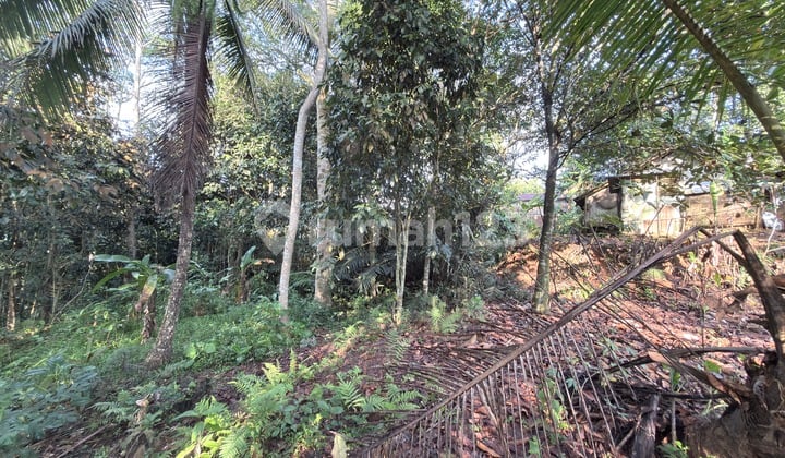 Sell Cheap Ciamis Land with SHM Near Residential Area