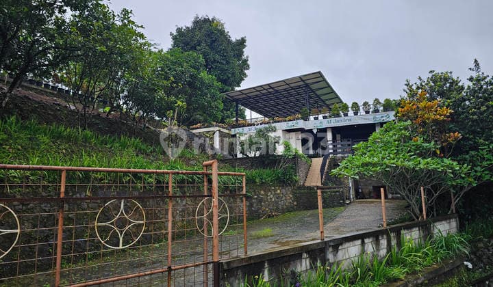 Jual Kebun Durian 1.8 Ha di Cijeruk Bogor, View Gunung Salak dan City View