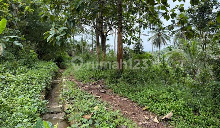 Cheap Land for Sale in Ciamis, Abundant Water Access to the Garden for Trucks