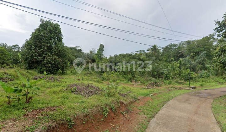Jual Tanah Untuk Kandang Ayam di Cisaga Ciamis
