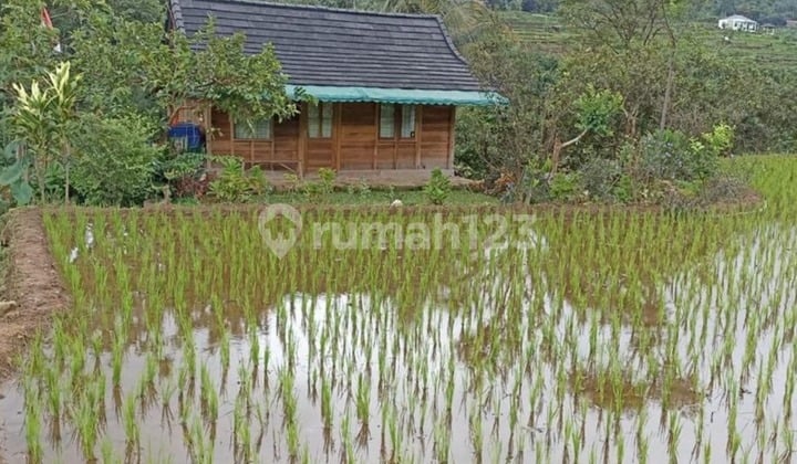 Jual Tanah Pamijahan Bogor View Gunung Nempel Sungai