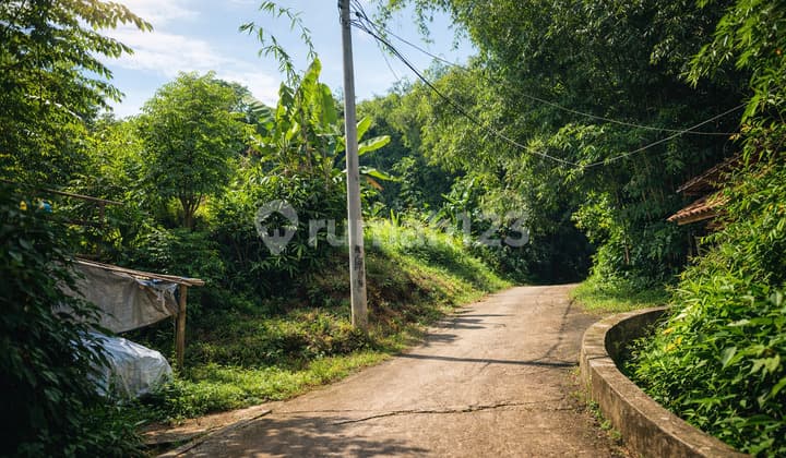 Jual Tanah di Jatinangor Dekat Kampus Unpad Jatinangor