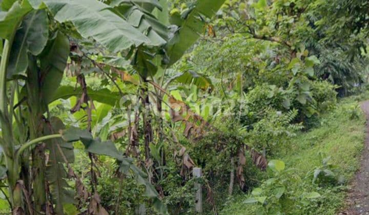 Tanah 5150 M² SHM Jatiluhur, Jawa Barat