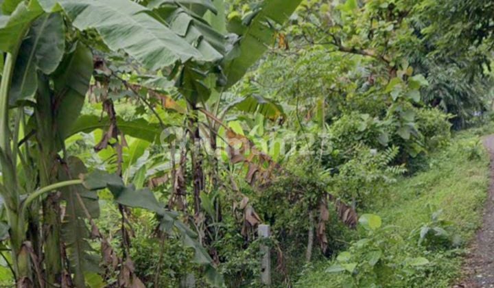 Tanah 5150 M² SHM Jatiluhur, Jawa Barat