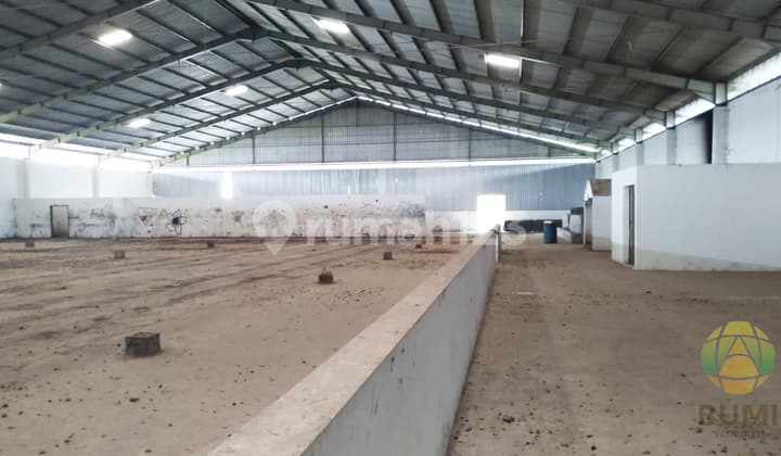 Gudang Luas 3400 Meter Lokasi Strategis di Baki
