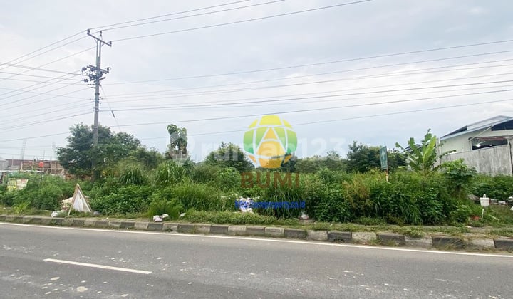 Tanah Lokasi Strategis 1.4 Km Dari Pintu Tol Tanah Lokasi Strategis 1.4 Km Dari Pintu Tol