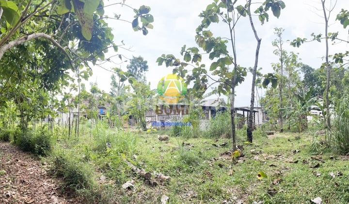 Tanah Luas 1521 Meter, Lokasi Klego Boyolali