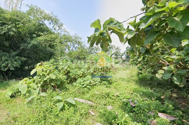 Tanah luas 1280 meter lokasi di sine sragen