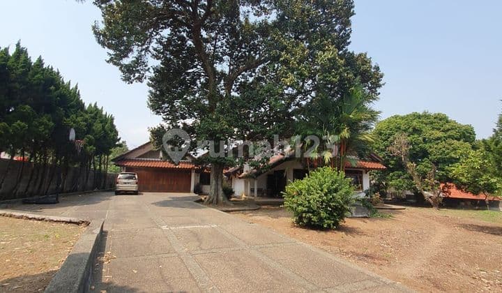 Rumah & Tempat Usaha Di Jalan Raya