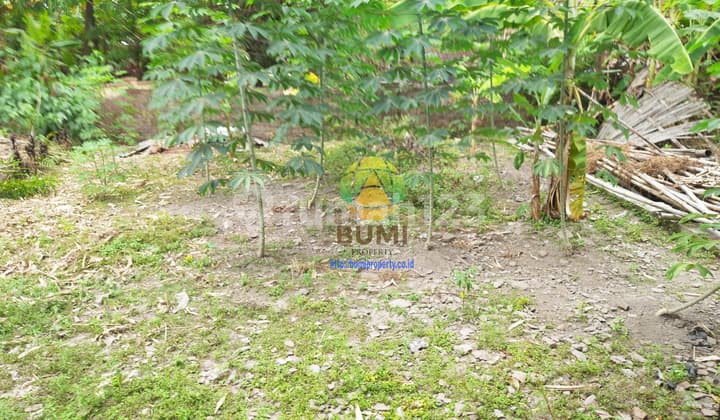 Jual Tanah Murah Lokasi di Pondok, Grogol