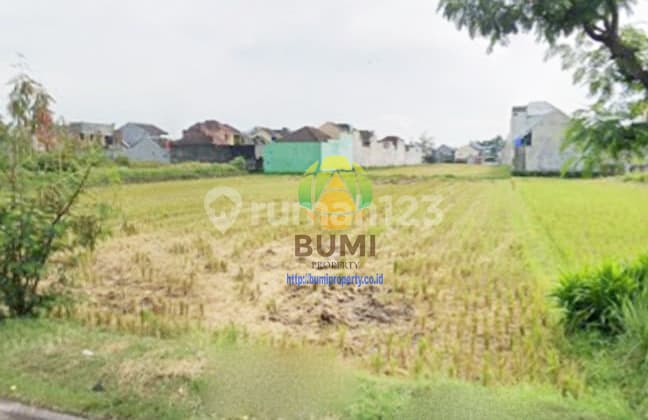 Tanah Luas Harga Murah Lokasi Colomadu