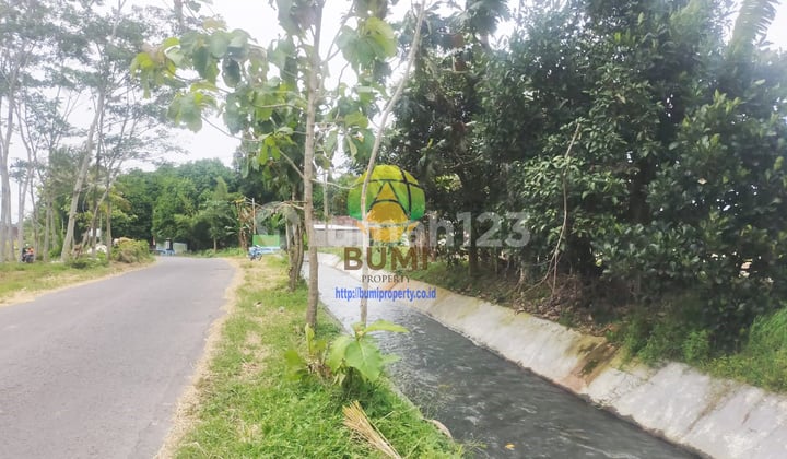 Cheap Paddy Field Land Location Matesih Karanganyar