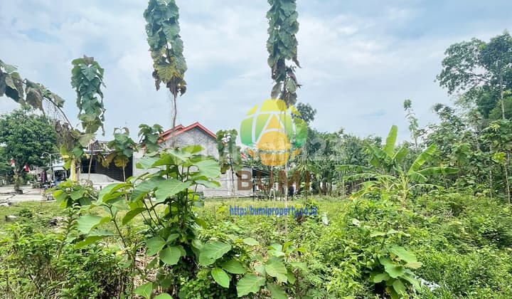 Tanah Luas 1521 Meter, Lokasi Klego Boyolali