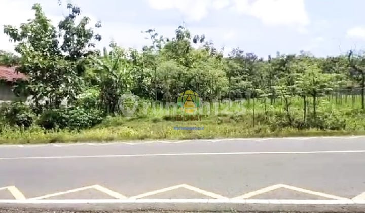 Tanah Murah Wonogiri Luas 4315 Meter di Jalan Nasional