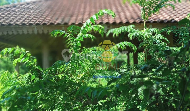 Tanah bonus bangunan lokasi strategis di Bekonang Sukoharjo